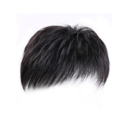 Men's Short Hair Synthetic Fiber Wig for Daily Use