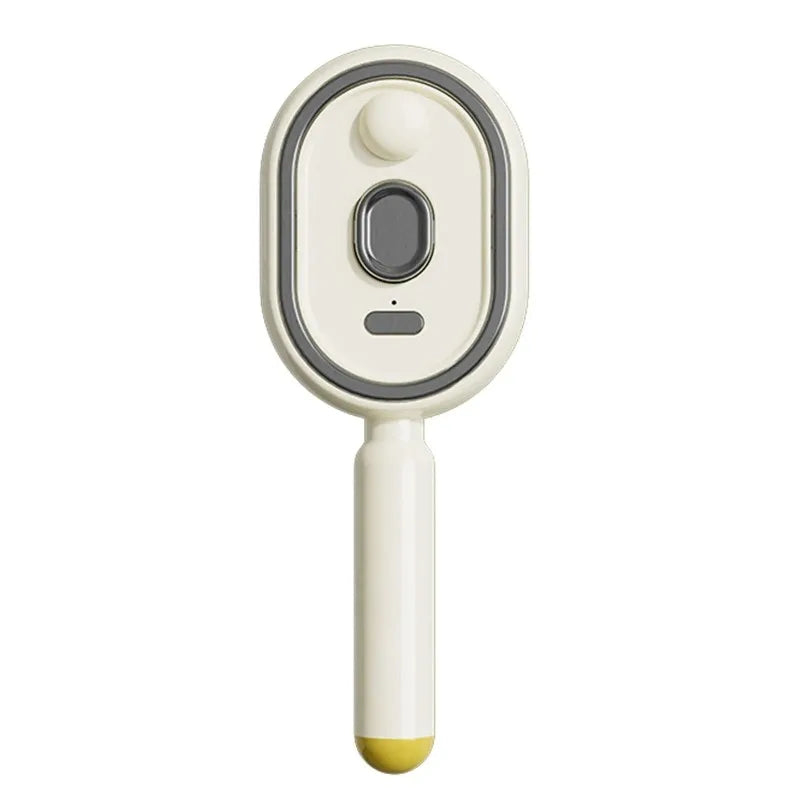 Electric Steam Hair Brush with USB-C Charging