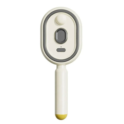Electric Steam Hair Brush with USB-C Charging