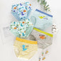 Cotton Dinosaur Cartoon Boys Briefs 3 Pcs Set