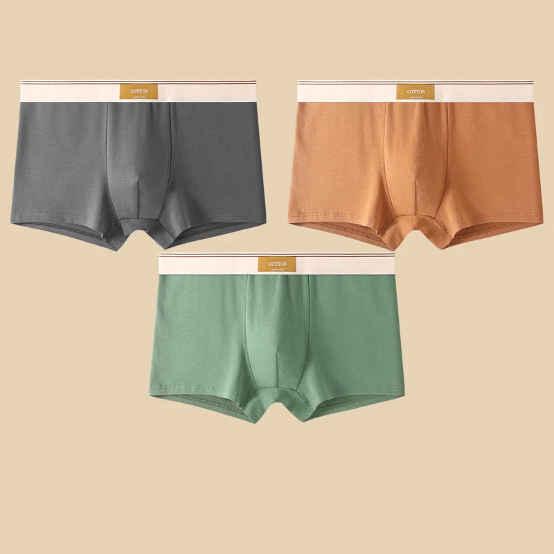 Men's Cotton Boxer Shorts 3Pcs Solid Color Set