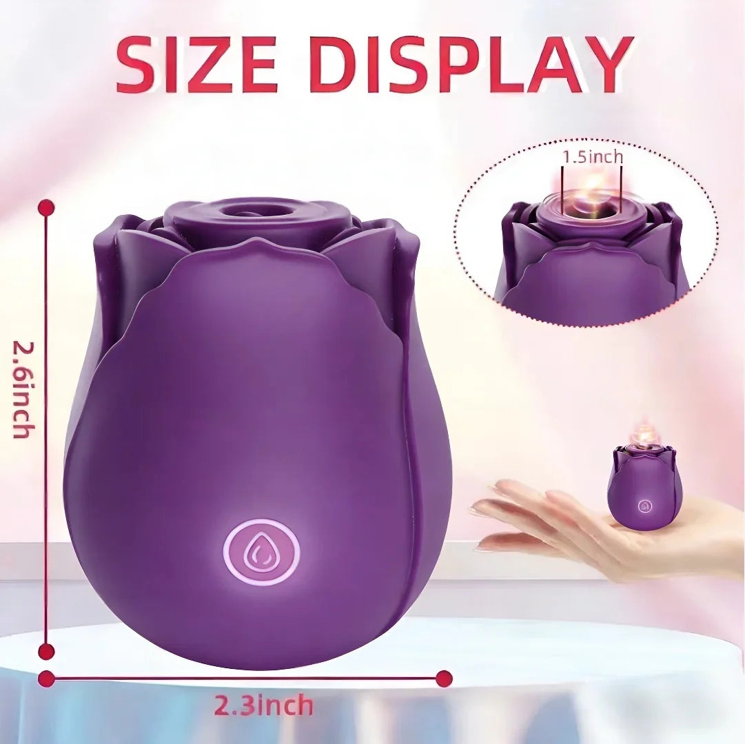 Vacuum Suction Vibrator for Women