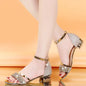 Women's Open Toe Sandals Gold Silver Low Heel Casual