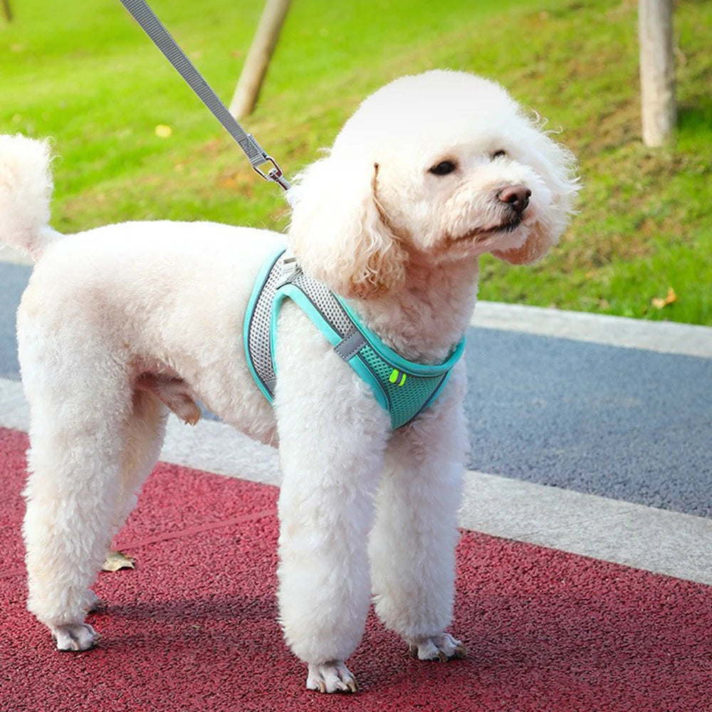Adjustable Reflective Pet Harness