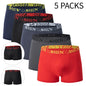 Men's Printed Fashion Boyshorts Plus Size Swim Trunks