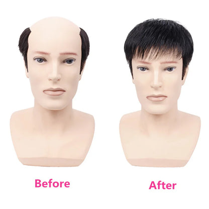 Men's Short Hair Synthetic Fiber Wig for Daily Use