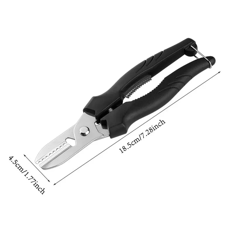 Stainless Steel Chestnut Peeler and Scissors Tool