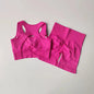 Women's Seamless Yoga Set Sport Bra and High Waist Shorts