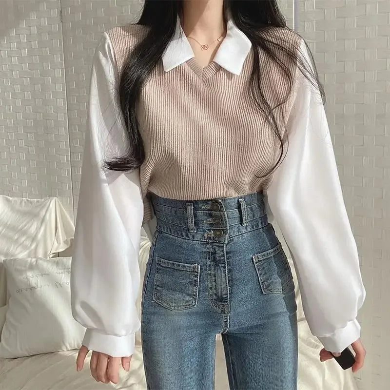 Korean Style Polo Collar Chiffon Blouse for Women