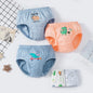 Cotton Dinosaur Cartoon Boys Briefs 3 Pcs Set