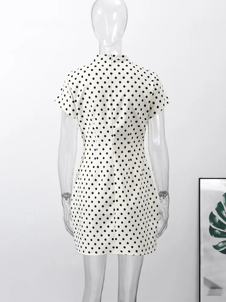 Hollow Out Polka Dot Women Dress with Zipper Closure