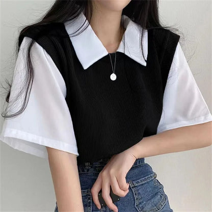 Korean Style Polo Collar Chiffon Blouse for Women