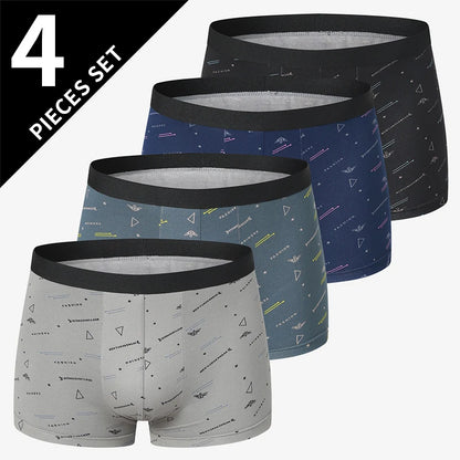Men's Printed Fashion Boyshorts Plus Size Swim Trunks