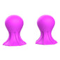Vibrating Nipple Clamps for Women