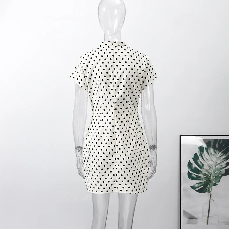 Hollow Out Polka Dot Women Dress with Zipper Closure