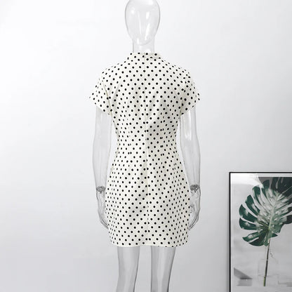 Hollow Out Polka Dot Women Dress with Zipper Closure