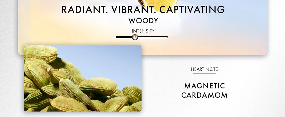 Azzaro Wanted Eau De Toilette Woody Vetiver Cologne