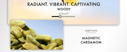 Azzaro Wanted Eau De Toilette Woody Vetiver Cologne