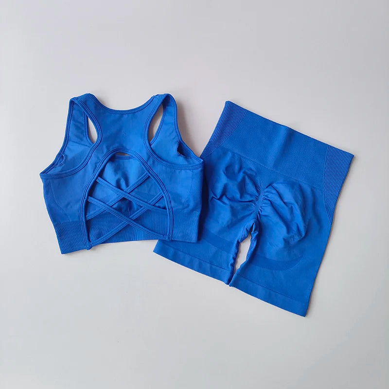 Women's Seamless Yoga Set Sport Bra and High Waist Shorts