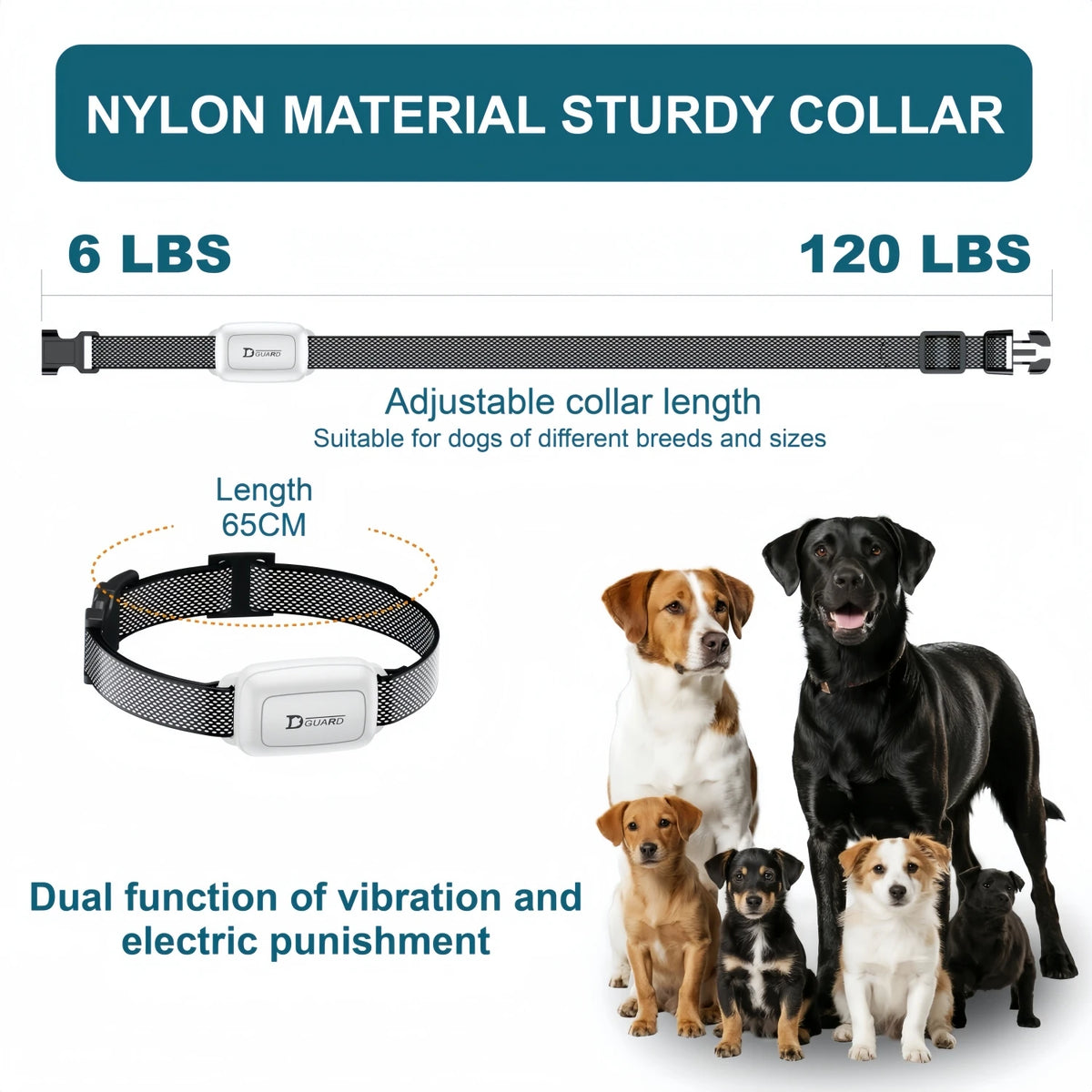 Rechargeable Dog Training Collar with Remote