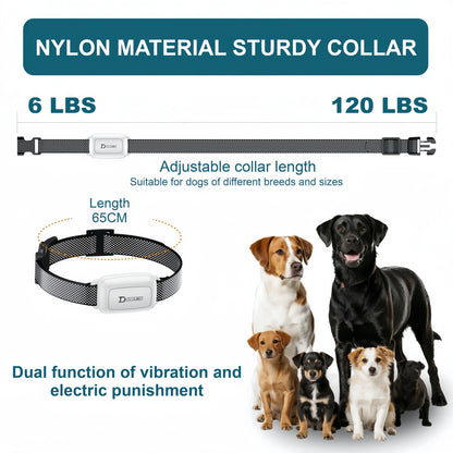 Rechargeable Dog Training Collar with Remote