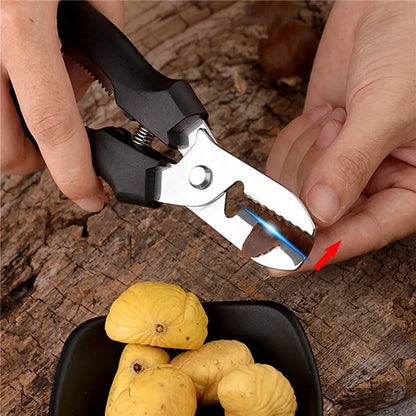 Stainless Steel Chestnut Peeler and Scissors Tool