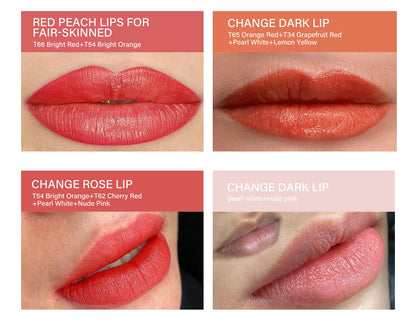 FAMISOO 5ML Permanent Makeup Pigment for Lips and Eyebrows