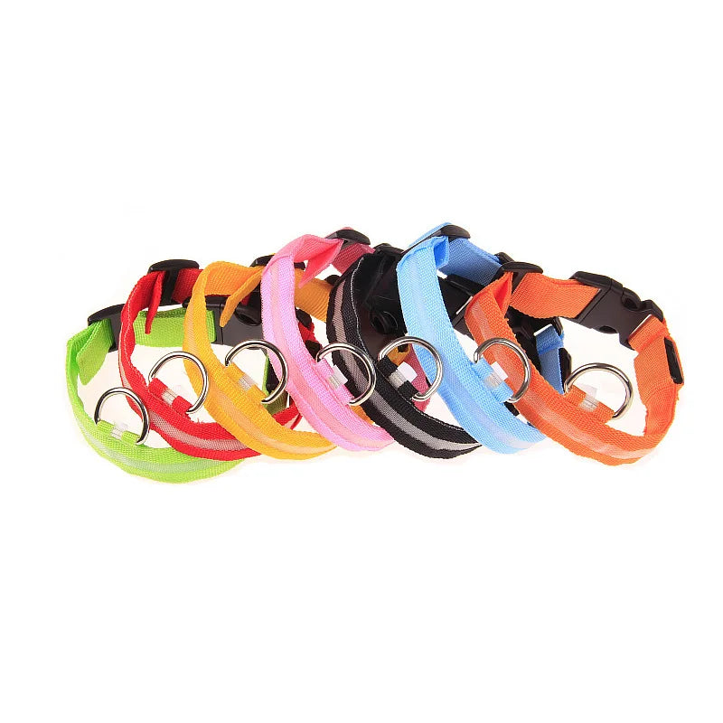LED Reflective Dog Leash