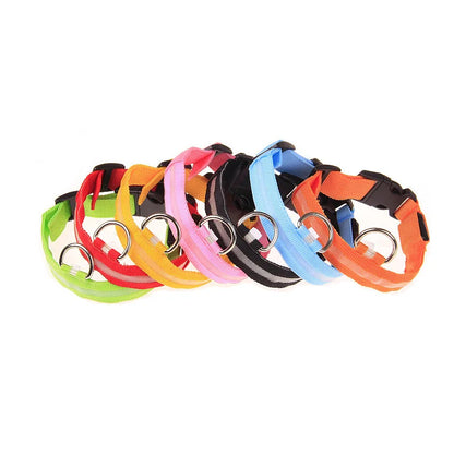 LED Reflective Dog Leash