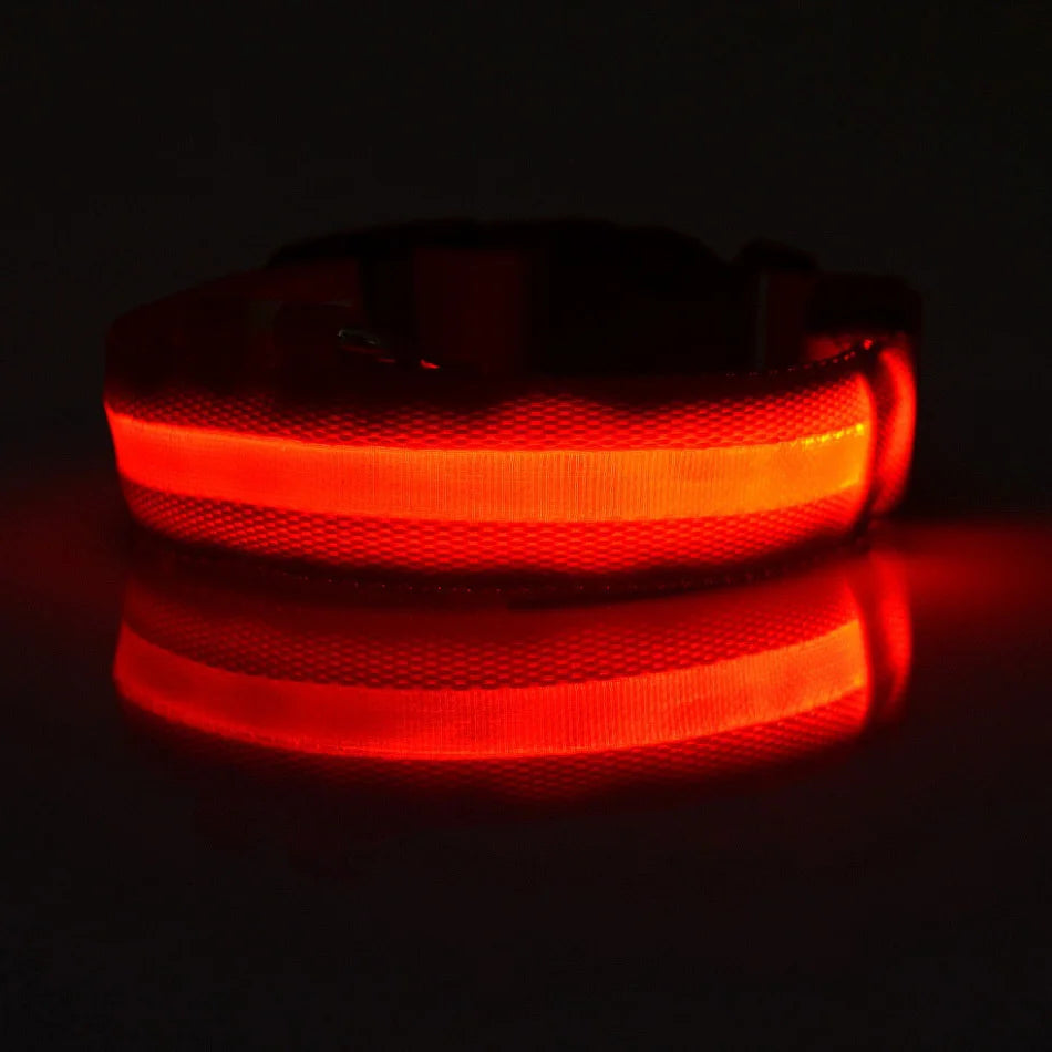 LED Reflective Dog Leash