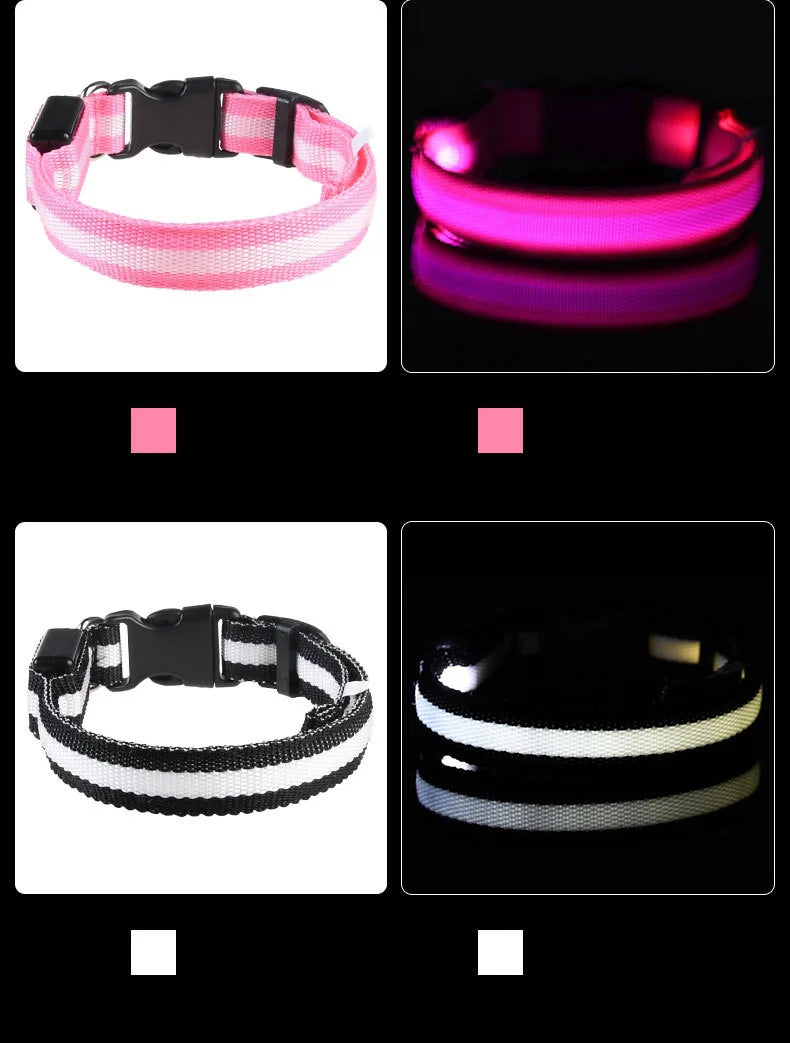 LED Reflective Dog Leash