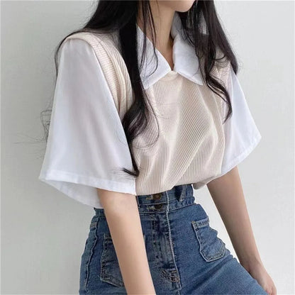 Korean Style Polo Collar Chiffon Blouse for Women