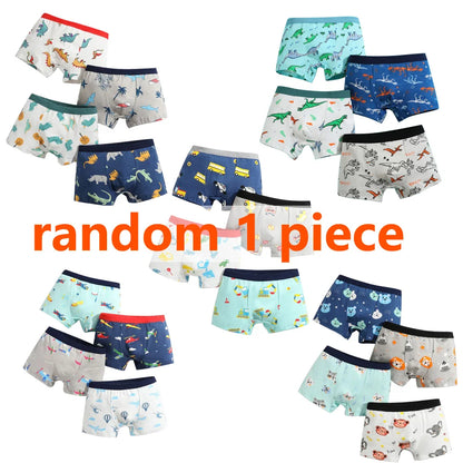 Boys Cotton Boxer Briefs Dinosaur Print Underwear