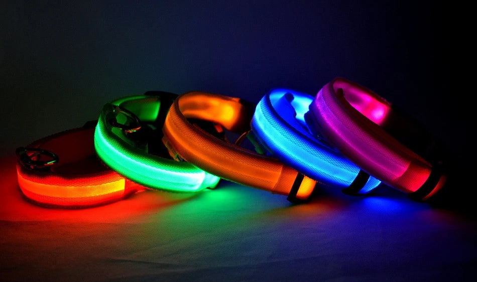 LED Reflective Dog Leash