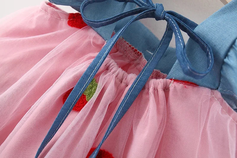 Baby Girl Summer Cherry Mesh Dress