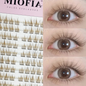 Individual Mink Eyelashes 60 Bundles Cluster Lashes