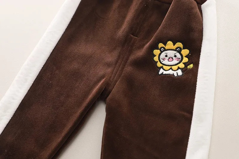 Baby Boys Fleece Hooded Jacket and Pants Set