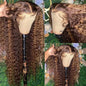 Highlight Curly Wig 13x4 Lace Front Human Hair Deep Wave