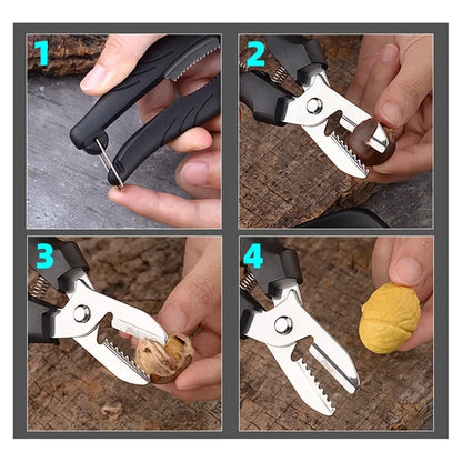 Stainless Steel Chestnut Peeler and Scissors Tool