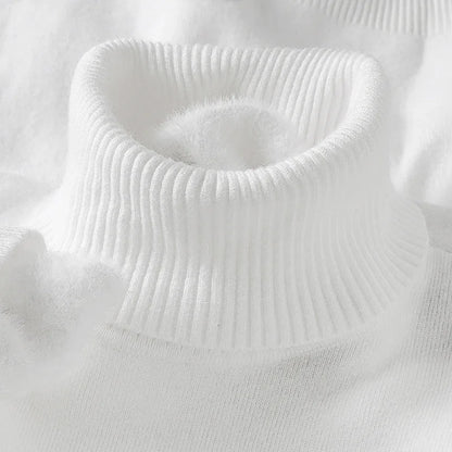 Mens Knitted Turtleneck Sweater Slim Fit Casual