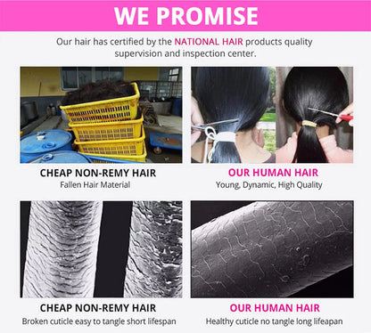 12A Burmese Curly Human Hair Wig Transparent Lace Frontal