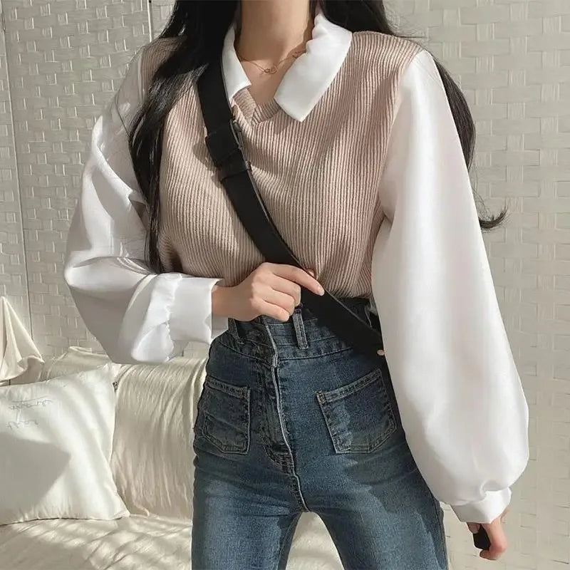 Korean Style Polo Collar Chiffon Blouse for Women