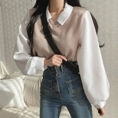 Korean Style Polo Collar Chiffon Blouse for Women