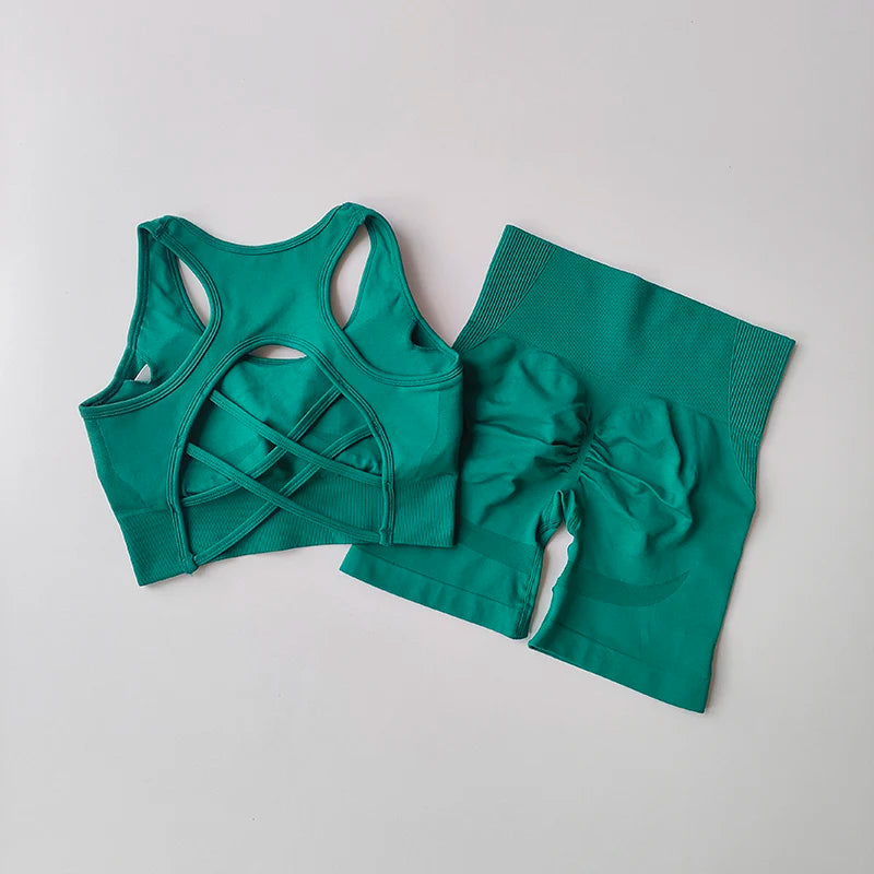 Women's Seamless Yoga Set Sport Bra and High Waist Shorts