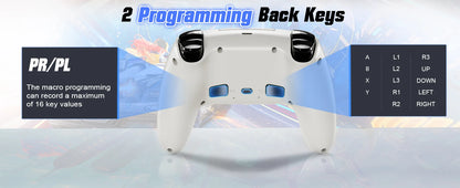 Wireless Gamepad for Playstation 5 with Turbo Function