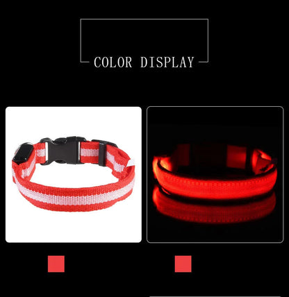 LED Reflective Dog Leash