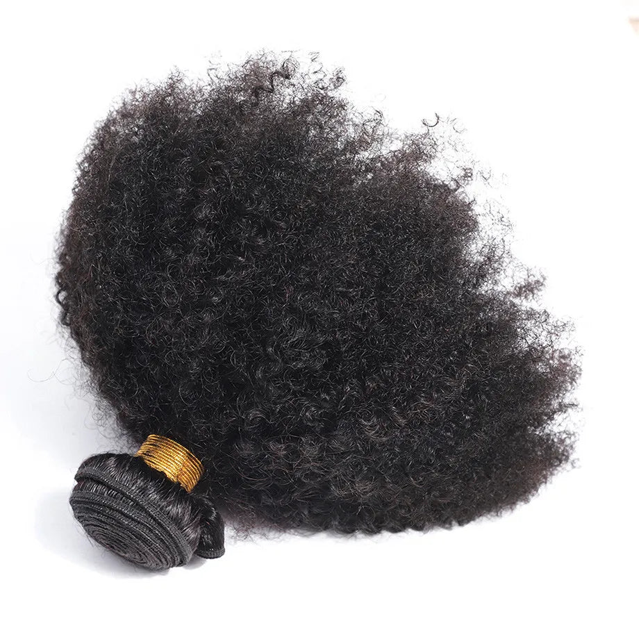 ELISHEVA Indian Human Hair Weave Bundles Kinky Curly Jet Black