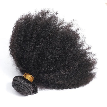 ELISHEVA Indian Human Hair Weave Bundles Kinky Curly Jet Black