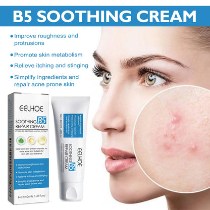 B5 Moisturizing Cream for Dry Chapped Skin
