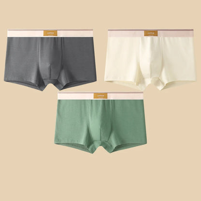 Men's Cotton Boxer Shorts 3Pcs Solid Color Set